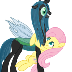 Size: 600x600 | Tagged: safe, artist:hudoyjnik, artist:synch-anon, character:fluttershy, character:queen chrysalis, species:changeling, species:pegasus, species:pony, ship:chrysashy, changeling queen, cute, cutealis, female, hug, lesbian, shipping, shyabetes, simple background, smiling, white background