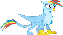 Size: 10656x6000 | Tagged: safe, artist:dasprid, character:rainbow dash, species:griffon, absurd resolution, female, griffonized, rainbow griffon, recolor, simple background, solo, species swap, transparent background, vector