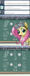 Size: 640x1590 | Tagged: safe, artist:giantmosquito, character:fluttershy, ape, ask, ask-dr-adorable, chalkboard, diagram, dr adorable, gorilla, tumblr