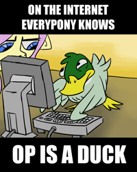 Size: 800x1000 | Tagged: safe, artist:rawrienstein, derpibooru original, character:fluttershy, species:duck, species:mallard, computer, male, on the internet nobody knows you're a dog, op, op is a duck (reaction image), reaction image