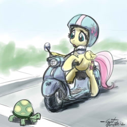 Size: 640x640 | Tagged: safe, artist:giantmosquito, character:fluttershy, character:tank, moped, tortoise, vespa