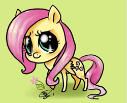Size: 551x448 | Tagged: dead source, safe, artist:conphettey, character:fluttershy, species:pegasus, species:pony, catchlights, chibi, female, flower, highlights, mare, simple background, solo