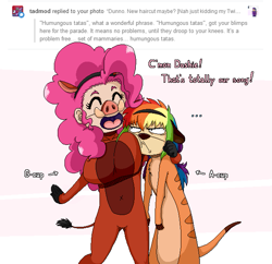 Size: 623x603 | Tagged: safe, artist:redhotkick, character:pinkie pie, character:rainbow dash, species:human, breast envy, breasts, busty pinkie pie, clothing, costume, female, grumpy, humanized, pumbaa, the lion king, timon, tumblr