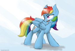 Size: 1280x875 | Tagged: safe, artist:blvckmagic, character:rainbow dash, angry, chest fluff, female, frown, looking back, solo