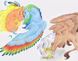 Size: 6136x4808 | Tagged: safe, artist:dawn22eagle, character:applejack, character:gilda, character:rainbow dash, species:griffon, ship:appledash, ship:gildash, absurd resolution, angry, crying, female, interspecies, lesbian, rainbow feathers, shipping, smiling