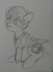 Size: 982x1331 | Tagged: safe, artist:hippykat13, oc, oc only, oc:kitty sweet, ponysona, species:pegasus, species:pony, >:c, black and white, clothing, freckles, glasses, grayscale, hoodie, monochrome, piercing, sketch, solo, traditional art