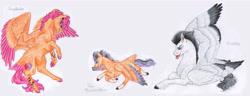 Size: 8368x3200 | Tagged: safe, artist:dawn22eagle, character:rumble, character:scootaloo, oc, oc:fire thunderstorm, parent:rumble, parent:scootaloo, parents:rumbloo, species:pegasus, species:pony, ship:rumbloo, adult, colored hooves, colored wings, colored wingtips, cutie mark, ear piercing, family, female, filly, male, next generation, offspring, piercing, realistic horse legs, rearing, shipping, socks (coat marking), spread wings, straight, tail feathers, the cmc's cutie marks, tongue piercing, traditional art, wings