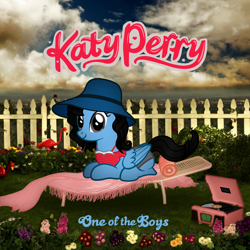 Size: 1000x1000 | Tagged: safe, artist:aldobronyjdc, album, album cover, chair, clothing, cover, fence, flower, hat, katy perry, katy pony, lawn chair, one of the boys, parody, ponified, ponified album cover, ponified celebrity, sitting, solo