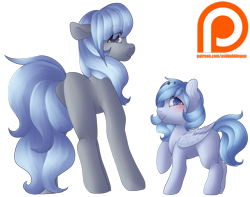 Size: 1024x806 | Tagged: safe, artist:rue-willings, oc, oc only, oc:bubblepop, oc:rue, species:earth pony, species:pegasus, species:pony, duo, patreon, patreon logo, simple background, transparent background