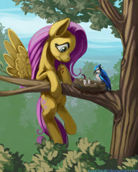 Size: 800x1000 | Tagged: safe, artist:lexx2dot0, character:fluttershy, species:bird, bird nest, feeding, female, forest, looking at something, mouth hold, nest, scenery, solo, spread wings, tree, tree branch, wings