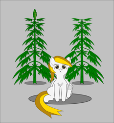 Size: 1323x1419 | Tagged: safe, artist:planetkiller, oc, oc only, oc:high wind chimes, species:pony, drugs, looking at you, marijuana, plant, simple background, sitting, solo, underhoof