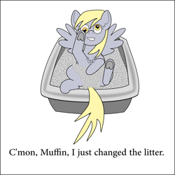 Size: 1434x1434 | Tagged: safe, artist:planetkiller, part of a set, character:derpy hooves, species:pony, chest fluff, female, litter ponies, litterbox, looking down, looking up, prone, simple background, solo, text, underhoof