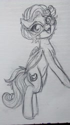 Size: 1456x2592 | Tagged: safe, artist:hippykat13, oc, oc only, oc:kitty sweet, species:pegasus, species:pony, black and white, cute, glasses, grayscale, monochrome, piercing, ponified animal photo, sketch, solo, standing, traditional art