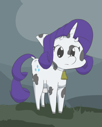 Size: 1280x1582 | Tagged: safe, artist:davierocket, character:rarity, species:cow, bell, cowbell, female, raricow, simple background, solo, species swap