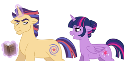 Size: 1024x502 | Tagged: safe, artist:cascayd, character:twilight sparkle, character:twilight sparkle (alicorn), oc, oc:starswirl, parent:flash sentry, parent:twilight sparkle, parents:flashlight, species:alicorn, species:pony, species:unicorn, alternate hairstyle, female, male, mother and son, offspring, story included