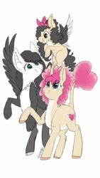 Size: 600x1065 | Tagged: safe, artist:laps-sp, oc, oc only, oc:errie, oc:iridescent amour, oc:passionate spade, parent:discord, parent:fluttershy, parent:princess cadance, parent:shining armor, parents:discoshy, parents:shiningcadance, species:pegasus, species:pony, colored wings, female, filly, hybrid, interspecies offspring, mare, multicolored wings, offspring, offspring's offspring, pale belly, simple background, white background