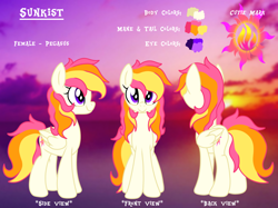 Size: 2732x2048 | Tagged: safe, artist:prismaticstars, oc, oc:sunkist, species:pegasus, species:pony, female, high res, mare, reference sheet, solo