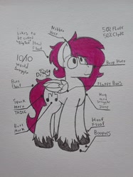 Size: 1928x2576 | Tagged: safe, artist:drheartdoodles, oc, oc only, oc:dr.heart, anatomy, clydesdale, cute, huge, large, solo, tall, traditional art, unshorn fetlocks