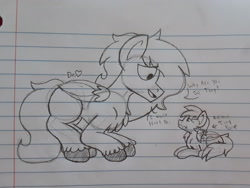 Size: 2576x1932 | Tagged: safe, artist:drheartdoodles, oc, oc only, oc:dr.heart, oc:isis, clydesdale, crouching, curled up, cute, lineart, lined paper, macro, micro, nervous, pencil drawing, size difference, traditional art