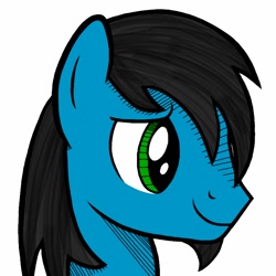 Size: 780x780 | Tagged: safe, artist:chipmagnum, oc, oc only, oc:chip magnum, species:pony, blue coat, bust, male, portrait, simple background, smiling, solo, stallion, white background