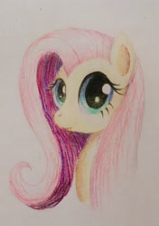 Size: 2162x3064 | Tagged: safe, artist:phat_guy, derpibooru original, character:fluttershy, species:pegasus, species:pony, bust, colored pencil drawing, female, looking at you, mare, portrait, simple background, solo, traditional art