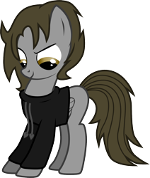 Size: 1126x1329 | Tagged: safe, artist:chipmagnum, oc, oc:jake, species:pegasus, species:pony, clothing, hoodie, male, simple background, solo, stallion, transparent background