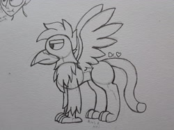 Size: 2576x1932 | Tagged: safe, artist:drheartdoodles, oc, oc only, oc:helios, species:griffon, borb, chest fluff, solo, spread wings, traditional art, wings