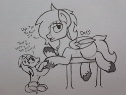 Size: 2576x1932 | Tagged: safe, artist:drheartdoodles, character:lotus blossom, oc, oc:dr.heart, species:pegasus, species:pony, clydesdale, holding hooves, size difference, spa, table, traditional art