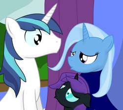 Size: 3000x2692 | Tagged: safe, artist:dazed-and-wandering, character:shining armor, character:trixie, oc, oc:nyx, duckface