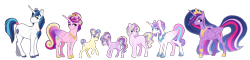 Size: 6500x1570 | Tagged: safe, artist:whalepornoz, character:princess cadance, character:princess flurry heart, character:princess gold lily, character:princess skyla, character:princess sterling, character:shining armor, character:twilight sparkle, character:twilight sparkle (alicorn), parent:princess cadance, parent:shining armor, parents:shiningcadance, species:alicorn, species:earth pony, species:pegasus, species:pony, species:unicorn, ship:shiningcadance, episode:the last problem, g4, my little pony: friendship is magic, alternate design, alternate hairstyle, armor, big crown thingy 2.0, family, female, jewelry, male, offspring, older, older flurry heart, princess twilight 2.0, shipping, straight, tiara