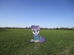 Size: 639x478 | Tagged: safe, artist:mundschenk85, edit, editor:undeadponysoldier, character:maud pie, species:pony, clothing, cute, field, irl, looking at you, lying down, maudabetes, photo, ponies in real life, smiling