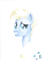 Size: 1482x1920 | Tagged: safe, artist:phat_guy, derpibooru original, character:star tracker, species:pony, 2019, awkward smile, bust, colored pencil drawing, coloured pencil drawing, freckles, gift art, grin, gritted teeth, looking at you, male, portrait, smiling, solo, traditional art