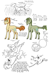 Size: 2550x3773 | Tagged: safe, artist:phobicalbino, oc, oc only, oc:finnigan, species:kelpie, species:pegasus, species:pony, dewclaw, egg, facial hair, female, fins, goatee, leprechaun, long tongue, male, mare, original species, sideburns, simple background, stallion, swimming, tongue out, water, white background