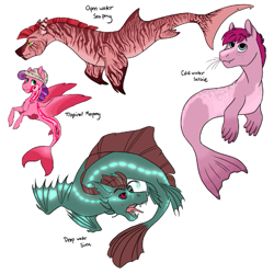 Size: 675x675 | Tagged: safe, artist:phobicalbino, oc, oc only, species:sea pony, species:siren, bioluminescent, headcanon, merpony, open mouth, quartet, selkie, shark fin, simple background, white background
