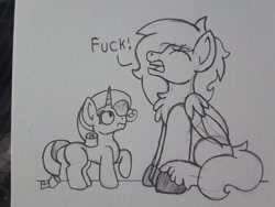 Size: 2576x1932 | Tagged: safe, artist:drheartdoodles, character:rarity, oc, oc:dr.heart, species:pegasus, species:pony, species:unicorn, chest fluff, clydesdale, fuck, simple background, sitting, size difference, surprised, traditional art, vulgar
