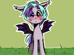Size: 1600x1200 | Tagged: safe, artist:cottonsweets, oc, oc only, oc:blueberry moon, species:bat pony, species:pony, bat pony oc, blushing, cute, eye clipping through hair, floppy ears, green background, heterochromia, looking at you, original character do not steal, simple background, solo, spread wings, wings