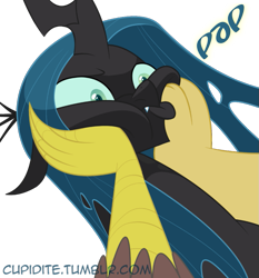 Size: 863x926 | Tagged: safe, artist:tarajenkins, character:discord, character:queen chrysalis, species:changeling, cupidite, fangs, female, frown, funny, male, simple background, squishy cheeks, transparent background