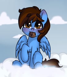 Size: 1000x1150 | Tagged: safe, artist:cottonsweets, oc, oc:pegasusgamer, species:pegasus, species:pony, blushing, chest fluff, cloud, cookie, food, leg fluff, looking at you, sitting, sky, wings