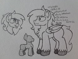 Size: 2576x1932 | Tagged: safe, artist:drheartdoodles, oc, oc only, oc:dr.heart, species:pegasus, species:pony, background pony, chest fluff, clydesdale, reference, reference sheet, size difference, smiling, solo, traditional art