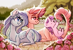 Size: 1280x877 | Tagged: safe, artist:segraece, oc, oc only, oc:riptde, oc:serenity, oc:tranquil wave, species:pegasus, species:pony, species:unicorn, baby, baby pony, background pony, beautiful, braid, braided tail, chest fluff, color porn, dragon tail, family, female, foal, forest, garden, looking up, male, mare, playful, playing, smiling, stallion, trio