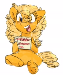 Size: 1729x2048 | Tagged: safe, artist:littleblackraencloud, oc, oc only, oc:orange delight, species:earth pony, species:pony, charity, holding a sign, sign, simple background, sitting, white background
