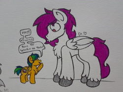 Size: 2576x1932 | Tagged: safe, artist:drheartdoodles, oc, oc only, oc:apogee, oc:dr.heart, species:pegasus, species:pony, chest fluff, clydesdale, coloring, dialogue, female, filly, male, o3o, simple background, size difference, smiling, stallion, traditional art