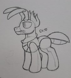 Size: 2134x2358 | Tagged: safe, artist:drheartdoodles, oc, oc only, oc:xi, ant, ant pony, antennae, insect, mandibles, original species, solo, traditional art