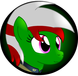 Size: 1000x977 | Tagged: safe, artist:lakword, oc, oc only, oc:wandering sunrise, fallout equestria, happy, icon, mere, smiling, solo