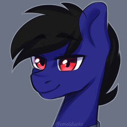 Size: 1000x1000 | Tagged: safe, artist:cottonsweets, oc, oc only, oc:jet black, species:pegasus, species:pony, bust, male, solo