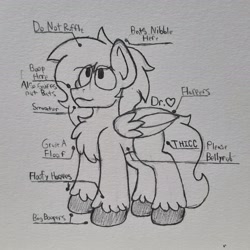 Size: 2311x2311 | Tagged: safe, artist:drheartdoodles, oc, oc only, oc:dr.heart, species:pegasus, species:pony, chest fluff, clydesdale, solo, traditional art, unshorn fetlocks
