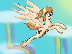 Size: 1600x1200 | Tagged: safe, artist:tomat-in-cup, species:pegasus, species:pony, brandenburg, cloud, female, flying, heterochromia, mare, ponified, rainbow, rainbow waterfall, solo