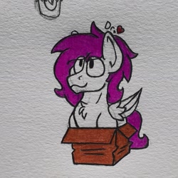 Size: 1725x1725 | Tagged: safe, artist:drheartdoodles, oc, oc only, oc:dr.heart, species:pegasus, species:pony, behaving like a cat, box, chest fluff, clydesdale, coloring, smiling, solo, traditional art