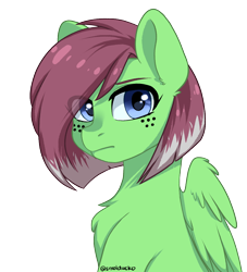 Size: 1000x1100 | Tagged: safe, artist:cottonsweets, oc, oc:watermelon success, species:pegasus, species:pony, chest fluff, eye clipping through hair, female, freckles, looking at you, mare, simple background, solo, transparent background