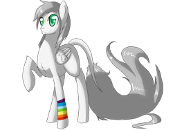 Size: 1600x1200 | Tagged: safe, artist:tomat-in-cup, oc, oc only, oc:arctic fluff, species:pegasus, species:pony, eye scar, leonine tail, male, pegasus oc, raised hoof, scar, simple background, solo, stallion, transparent background, wings